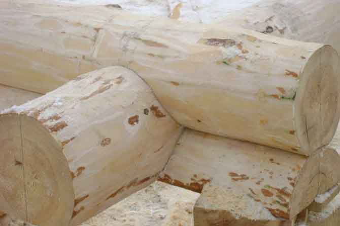 Соединение бревна в чашку. banya-brevno-2